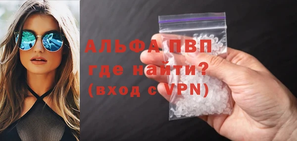 сатива Бородино
