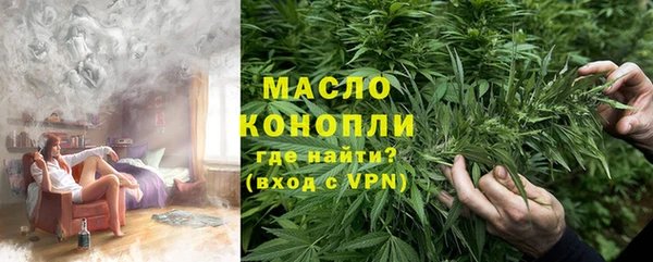 сатива Бородино