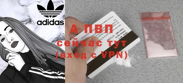 стафф Богданович