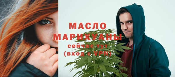 сатива Бородино