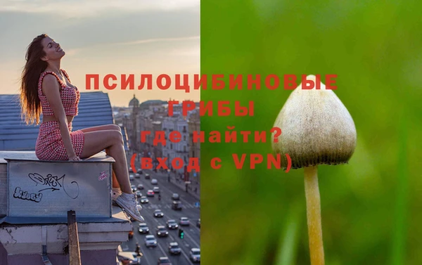 сатива Бородино