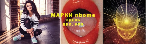 сатива Бородино